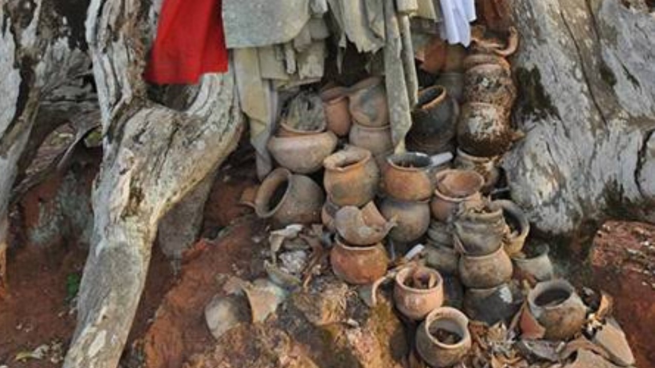 Sacred clay pot offerings stacked at a traditional African tree shrine